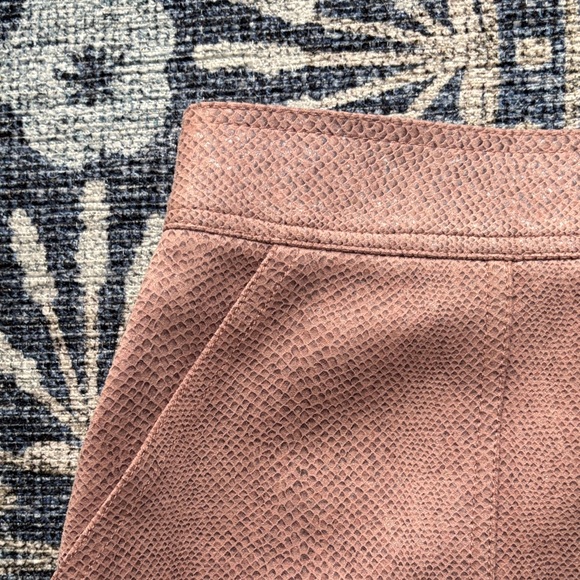 Anthropologie Blush Midi Skirt - Picture 5 of 7